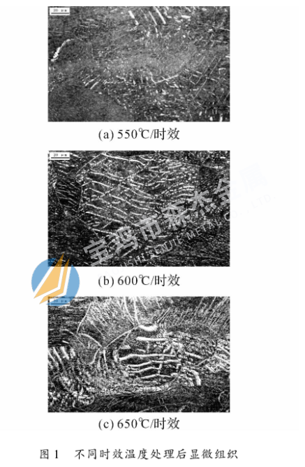 新锦江网址(中国游)有限公司官方