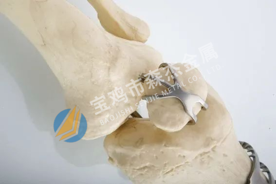 新锦江网址(中国游)有限公司官方